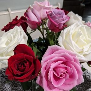 Meet your Posher, Marla